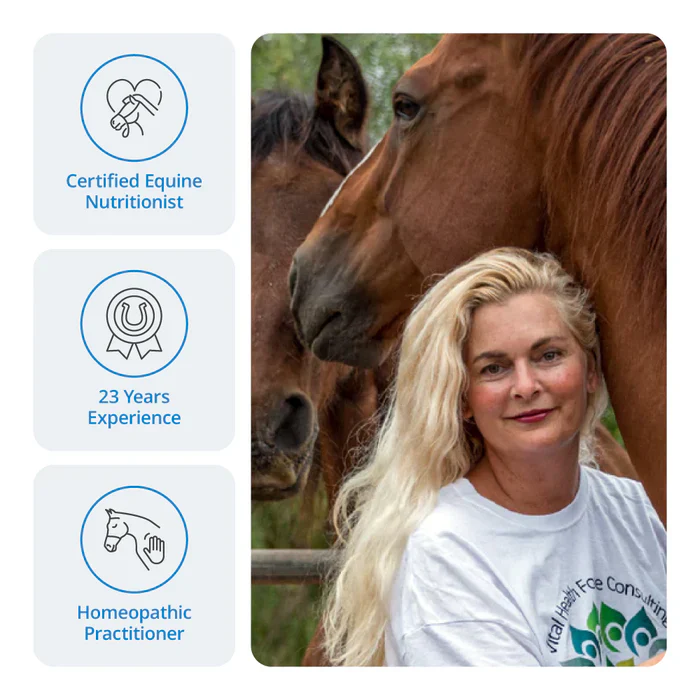 Consultations for Dogs & Cats